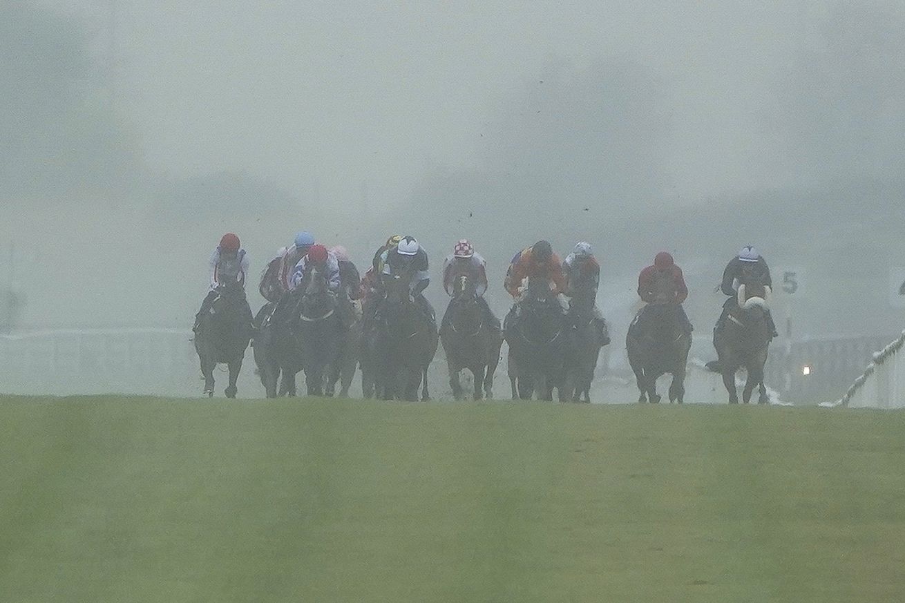 Curragh Races