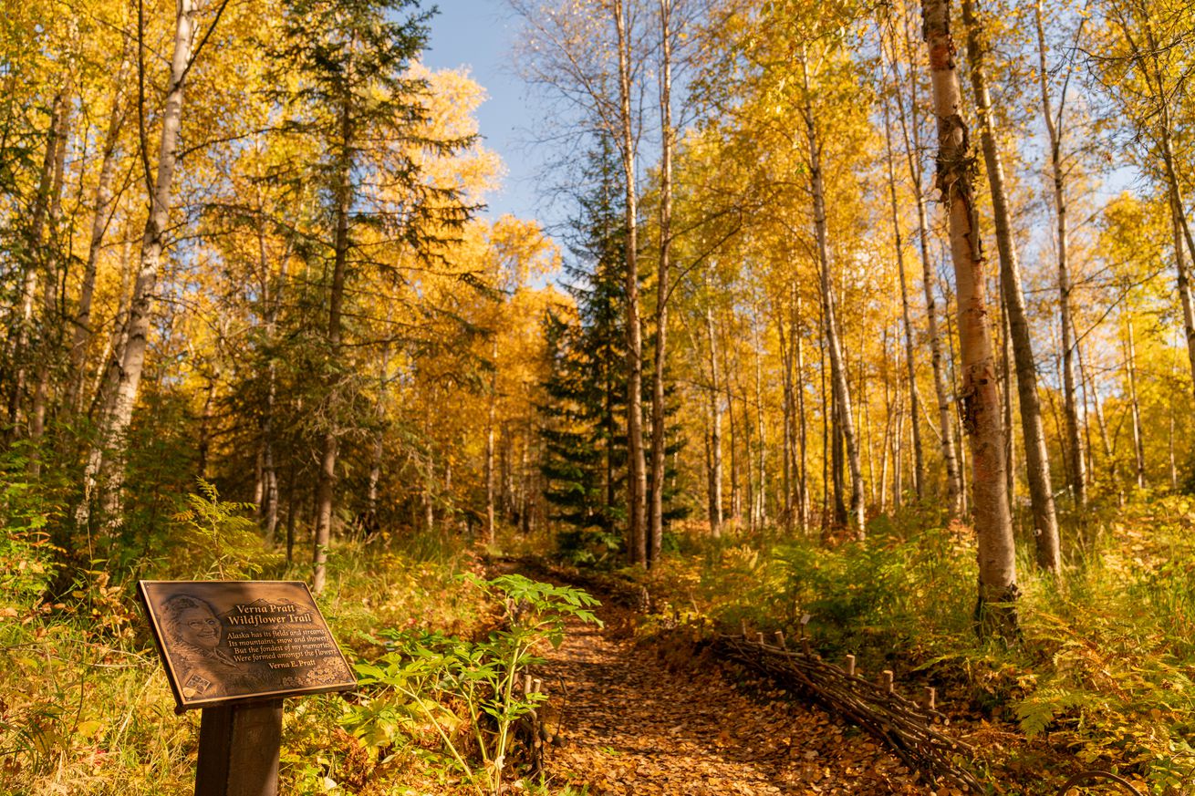 Alaska Bootanical Garden welcomes the spooky season