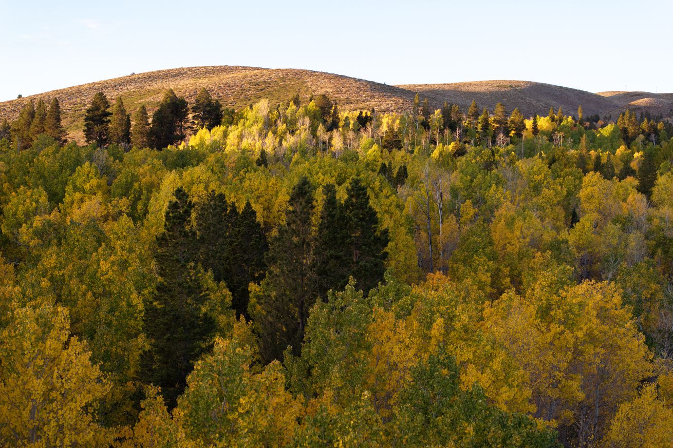 Fall Colors Come To The Eastern Sierra Nevada Mountains