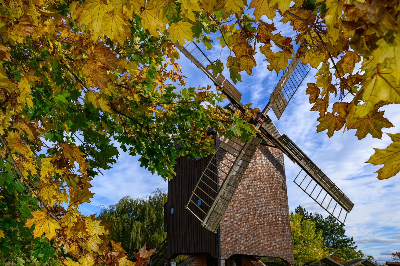 The last windmill in the Oderbruch