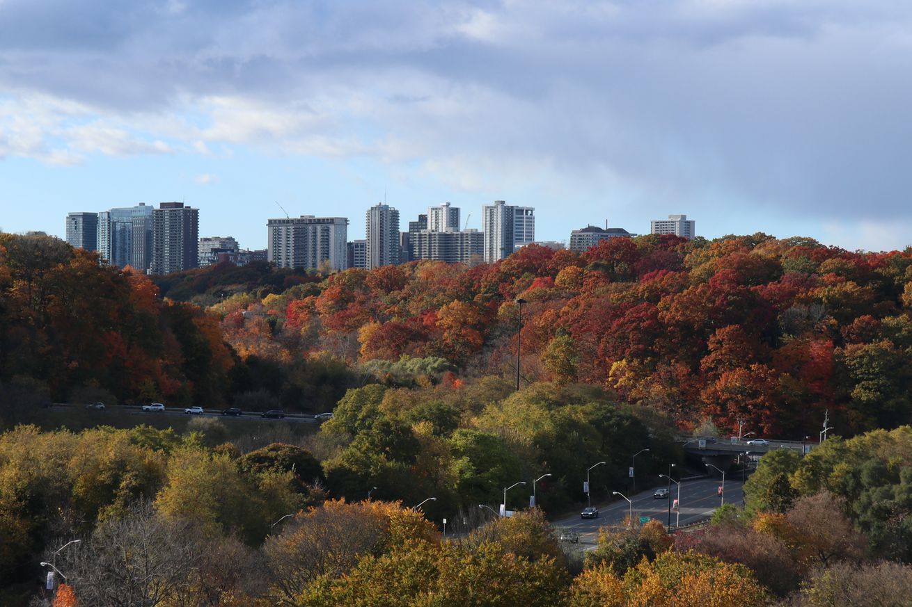 Autumn Weather In Toronto, Canada