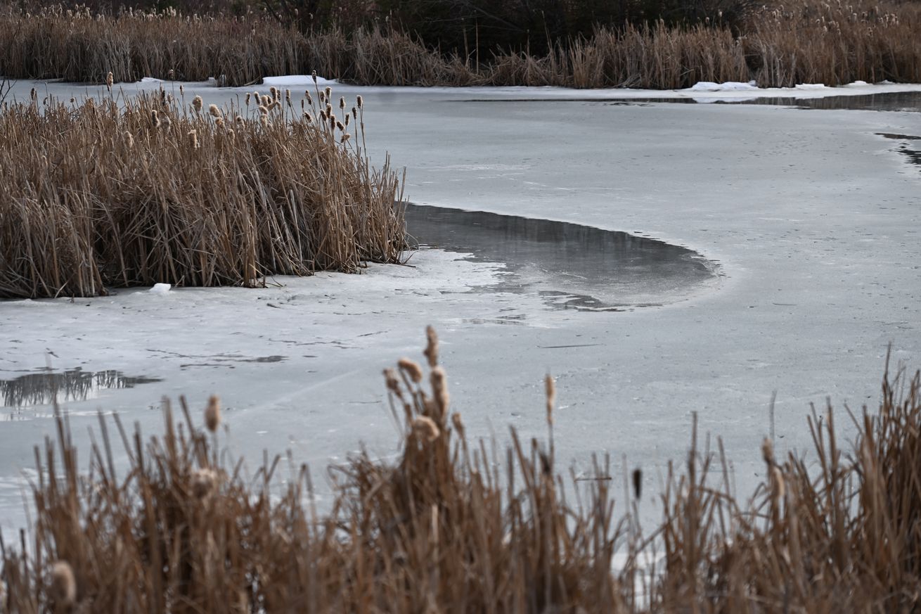 Anticipating Spring In Edmonton