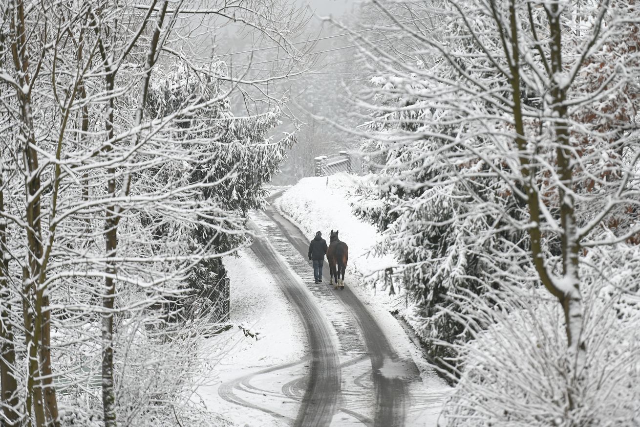 Snowstorms hit Southern Poland