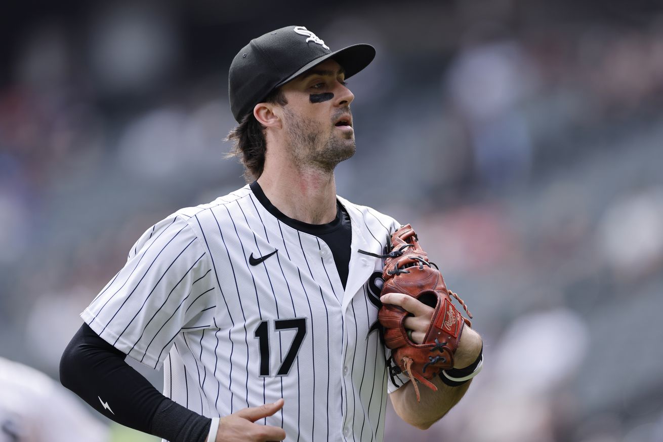 MLB: APR 28 Rays at White Sox